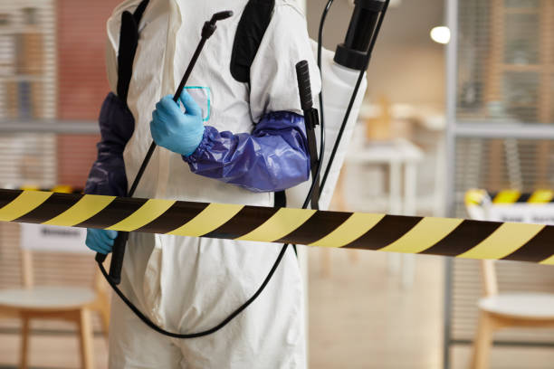 Professional Sewage Cleanup technician working in North Woodstock, NH
